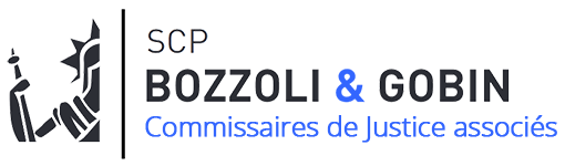 JÉRÔME BOZZOLI - MATTHIEU GOBIN